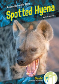 Spotted Hyena - MPHOnline.com