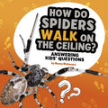 How Do Spiders Walk on the Ceiling? - MPHOnline.com