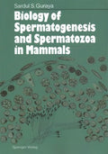 Biology of Spermatogenesis and Spermatozoa in Mammals - MPHOnline.com