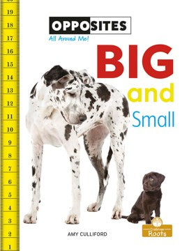 Big and Small - MPHOnline.com