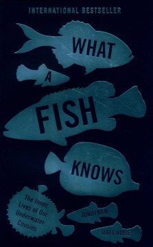 What a Fish Knows (Paperback) - MPHOnline.com