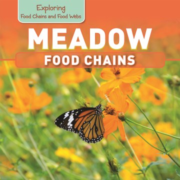 Meadow Food Chains - MPHOnline.com