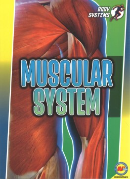 Muscular System - MPHOnline.com