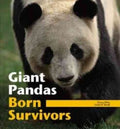 Giant Pandas: Born Survivors - MPHOnline.com