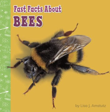 Fast Facts About Bees - MPHOnline.com