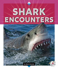 Shark Encounters - MPHOnline.com