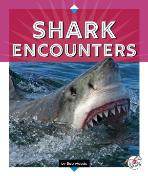 Shark Encounters - MPHOnline.com