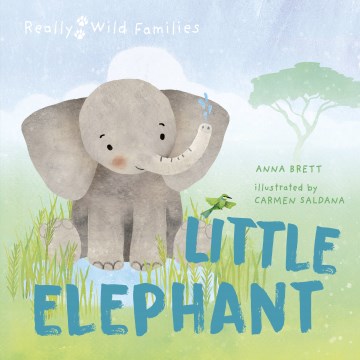 Little Elephant - MPHOnline.com