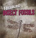 Insect Fossils - MPHOnline.com