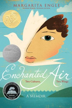 Enchanted Air - MPHOnline.com