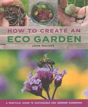 How to Create an Eco Garden - MPHOnline.com