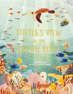 A Turtle's View of the Ocean Blue - MPHOnline.com