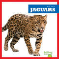 Jaguars - MPHOnline.com