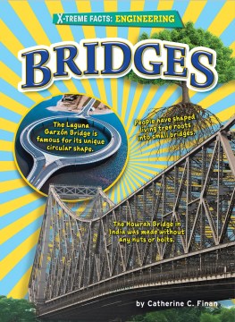 Bridges - MPHOnline.com