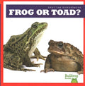 Frog or Toad? - MPHOnline.com