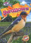 Swallows - MPHOnline.com