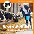 What's Work Like Around the World? - MPHOnline.com