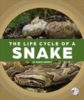 The Life Cycle of a Snake - MPHOnline.com