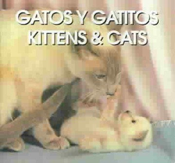 Gatos Y Gatitos/Kittens & Cats - MPHOnline.com