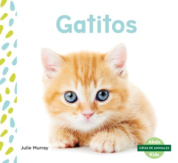 Gatitos / Kittens - MPHOnline.com