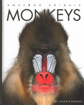 Monkeys - MPHOnline.com