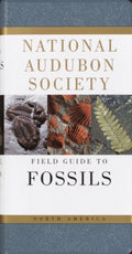 National Audubon Society Field Guide to North American Fossils - MPHOnline.com