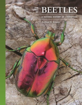 The Lives of Beetles - MPHOnline.com