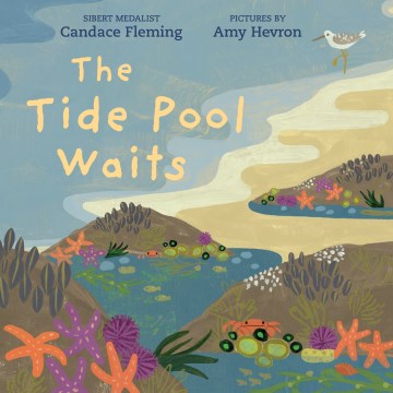 The Tide Pool Waits - MPHOnline.com