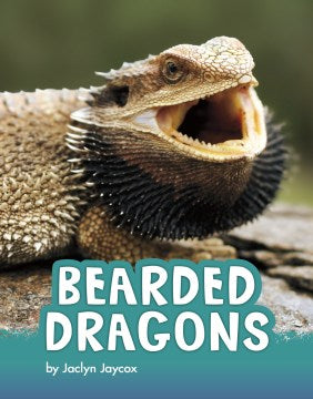 Bearded Dragons - MPHOnline.com