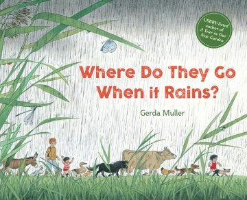 Where Do They Go When It Rains? - MPHOnline.com