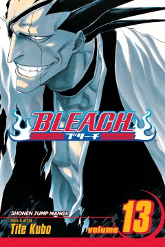 Bleach 13 - MPHOnline.com