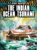 The Indian Ocean Tsunami - MPHOnline.com