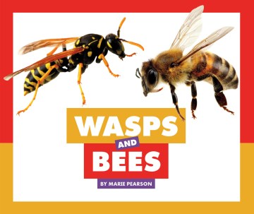 Wasps and Bees - MPHOnline.com