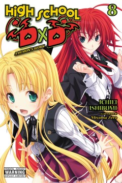 High School Dxd Light Novel 8 - MPHOnline.com