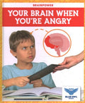 Your Brain When You're Angry - MPHOnline.com