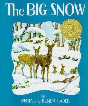 Big Snow - MPHOnline.com