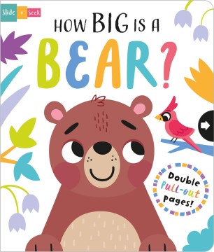 How Big Is a Bear? - MPHOnline.com