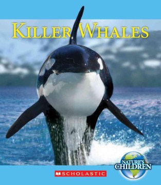 Killer Whales - MPHOnline.com