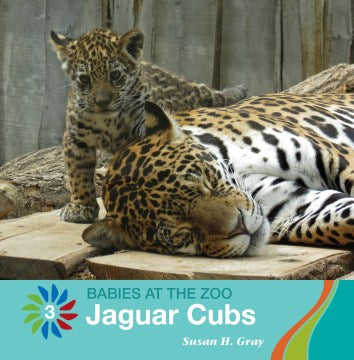 Jaguar Cubs - MPHOnline.com