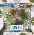 River Food Webs - MPHOnline.com