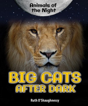 Big Cats After Dark - MPHOnline.com