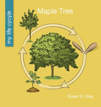 Maple Tree - MPHOnline.com