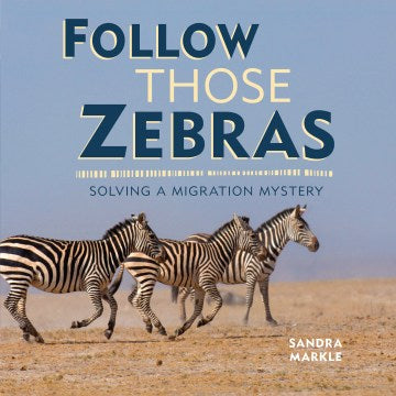 Follow Those Zebras - MPHOnline.com