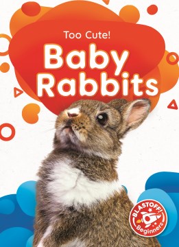 Baby Rabbits - MPHOnline.com