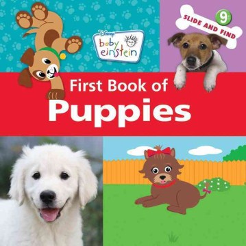 Baby Einstein First Book Of Puppies - MPHOnline.com