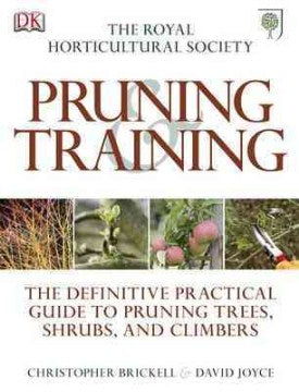 RHS Pruning and Training - MPHOnline.com