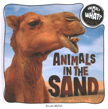 Animals in the Sand - MPHOnline.com