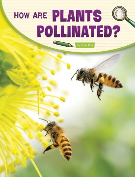 How Are Plants Pollinated? - MPHOnline.com