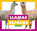 Llamas and Alpacas - MPHOnline.com