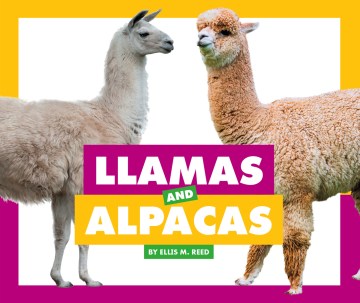 Llamas and Alpacas - MPHOnline.com